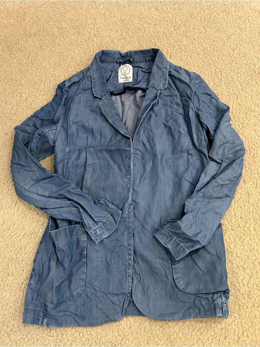Aritzia Talula Denim Jacket